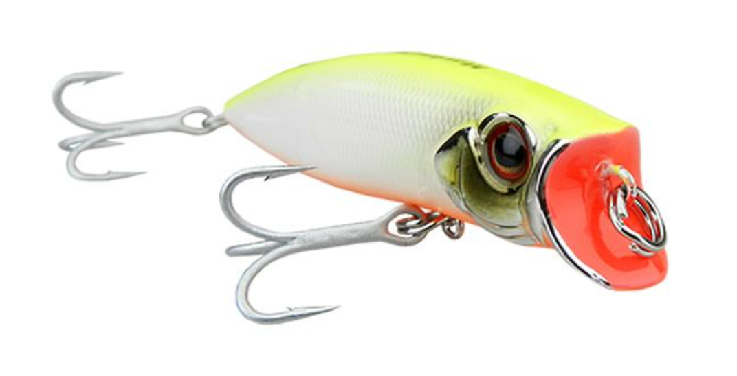 Bait Moriah Bora Bora